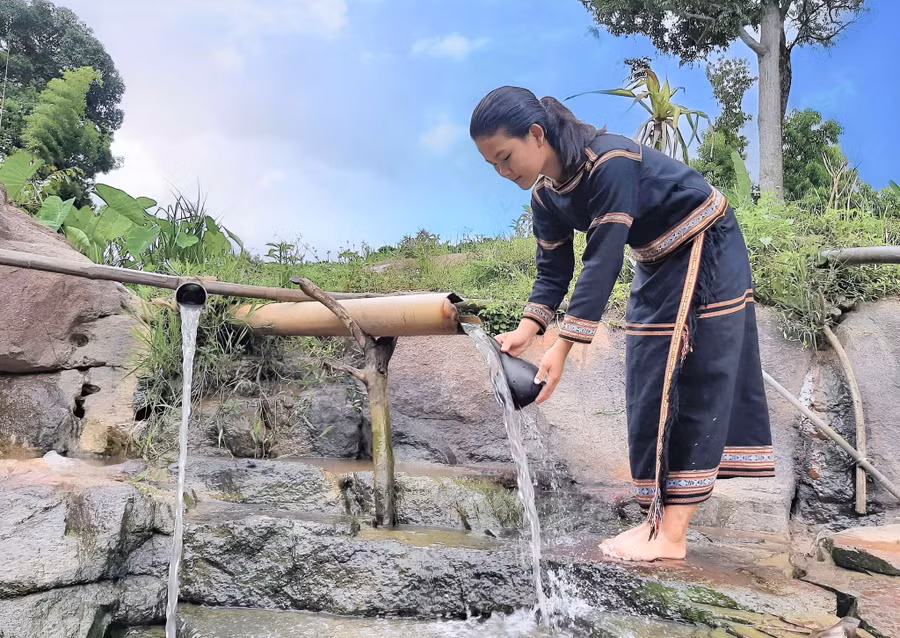 Lấy nước giọt. Ảnh: H.T