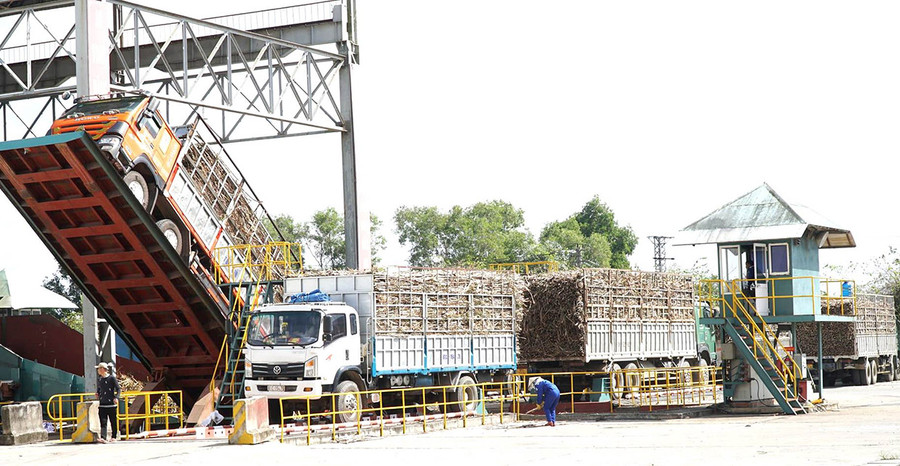 Nhà máy Đường An Khê luôn quan tâm công tác an toàn, vệ sinh lao động. Ảnh: Đinh Yến