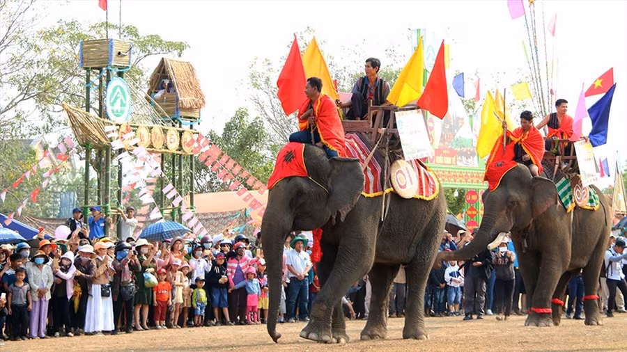 Voi sẽ không xuất hiện trong tiết mục quan trọng ở Lễ hội cà phê Buôn Ma Thuột.