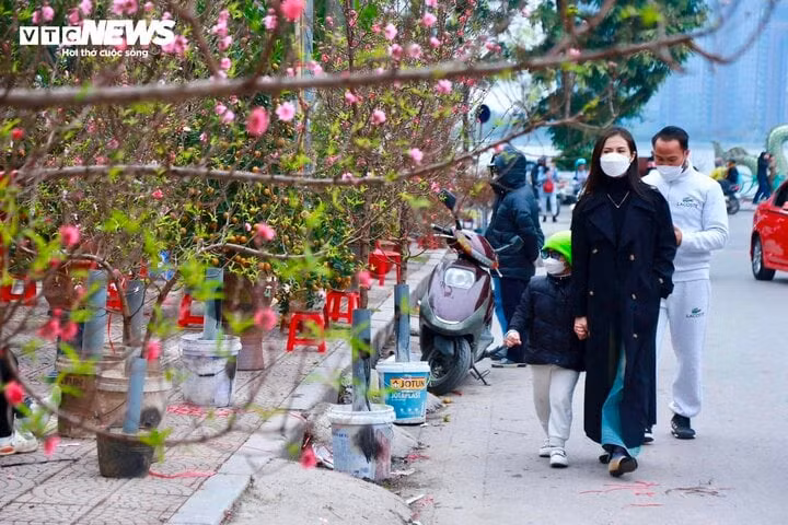 Miền Bắc khả năng đón không khí lạnh trong dịp Tết Nguyên đán Giáp Thìn 2024. (Ảnh: Ngô Nhung)