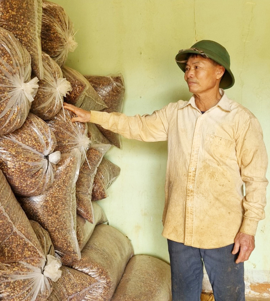 Cà phê nhân chất lượng cao được ông Cách trữ trong kho. Ảnh: P.N