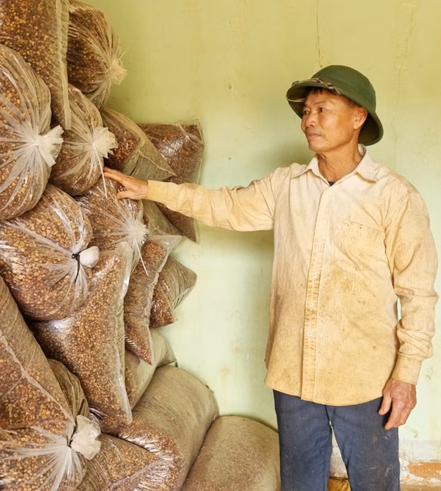 Cà phê nhân chất lượng cao được ông Cách trữ trong kho. Ảnh: P.N