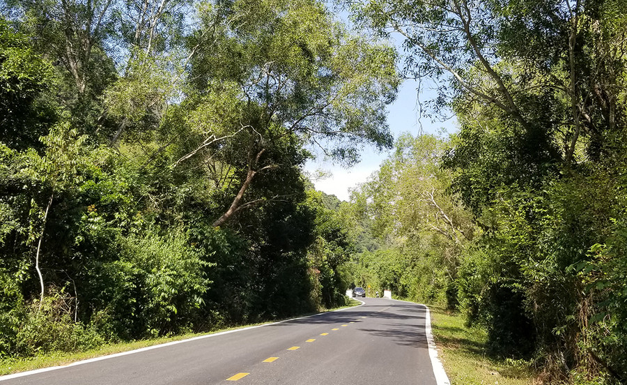 Sau khi hết địa phận xã Phù Long và Hiền Hào, du khách có thể lựa chọn một trong hai ngả đường để tiếp tục hành trình đến trung tâm TT.Cát Bà, đó là đi theo đường 356 cũ xuyên qua Vườn quốc gia Cát Bà hoặc đi theo nhánh đường mới tiếp tục men theo bờ biển. Tuy nhiên, với những du khách thích khám phá và trải nghiệm sẽ chọn cung đường 356 qua vườn quốc gia. Ảnh: GIANG LINH