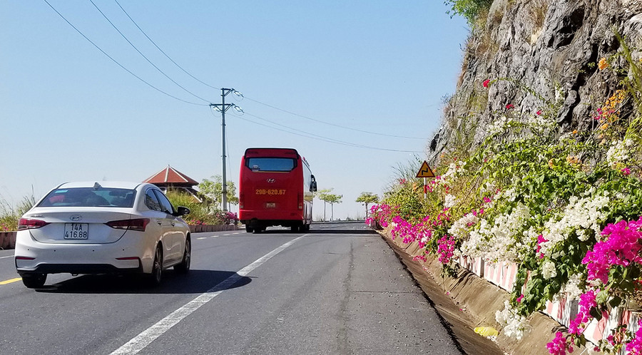 Sau 3 năm kỳ công chăm sóc, hàng hoa giấy phát triển tốt và đang trong thời kỳ nở hoa. Ảnh: GIANG LINH