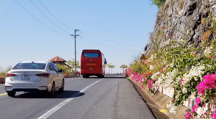 Sau 3 năm kỳ công chăm sóc, hàng hoa giấy phát triển tốt và đang trong thời kỳ nở hoa. Ảnh: GIANG LINH