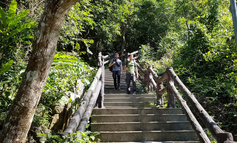 Ngoài việc khám phá hệ động thực vật phong phú trong hành trình trải nghiệm cung đường xuyên Vườn quốc gia Cát Bà, du khách có thể ghé thăm các hang động nằm bên đường như: hang Quân y, động Trung Trang, động Hoa Cương... Ảnh: GIANG LINH