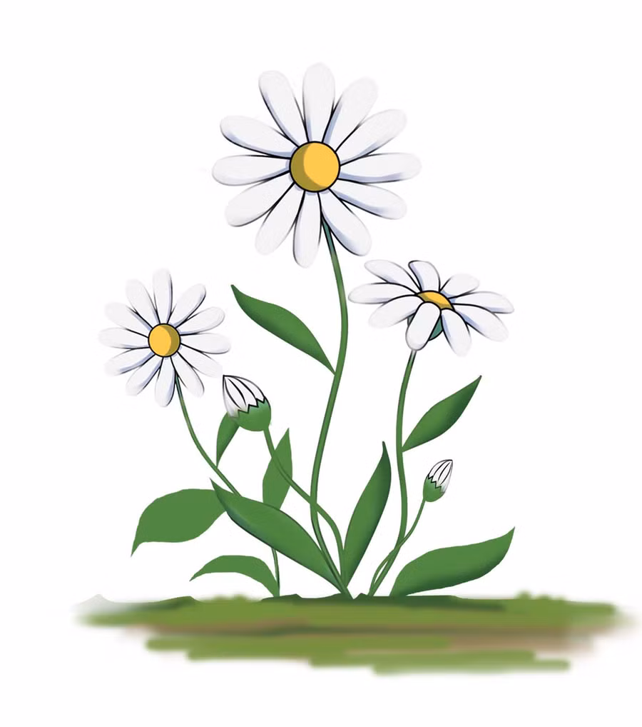 Minh họa: Huyền Trang