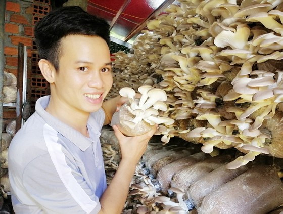 Anh Nguyễn Xuân Truyện với mô hình sản xuất nấm của mình. Ảnh: XUÂN HUYÊN Anh Nguyễn Xuân Truyện với mô hình sản xuất nấm của mình. Ảnh: XUÂN HUYÊN