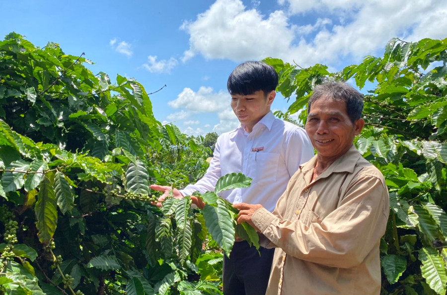 Thông qua công tác tuyên truyền, vận động bà con vùng DTTS đã mạnh dạn đầu tư phát triển kinh tế, nâng cao đời sống. Ảnh: Sơn Ca Thông qua công tác tuyên truyền, vận động bà con vùng DTTS đã mạnh dạn đầu tư phát triển kinh tế, nâng cao đời sống. Ảnh: Sơn Ca