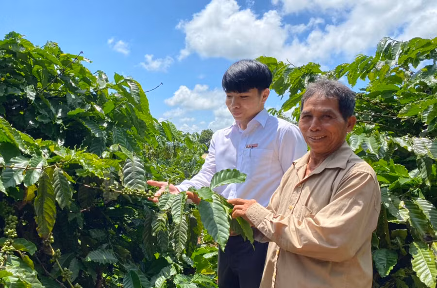 Thông qua công tác tuyên truyền, vận động bà con vùng DTTS đã mạnh dạn đầu tư phát triển kinh tế, nâng cao đời sống. Ảnh: Sơn Ca