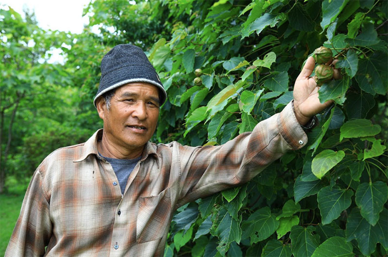 Ông Hồ Thương bên cánh rừng trẩu xanh tốt. Ông Hồ Thương bên cánh rừng trẩu xanh tốt.