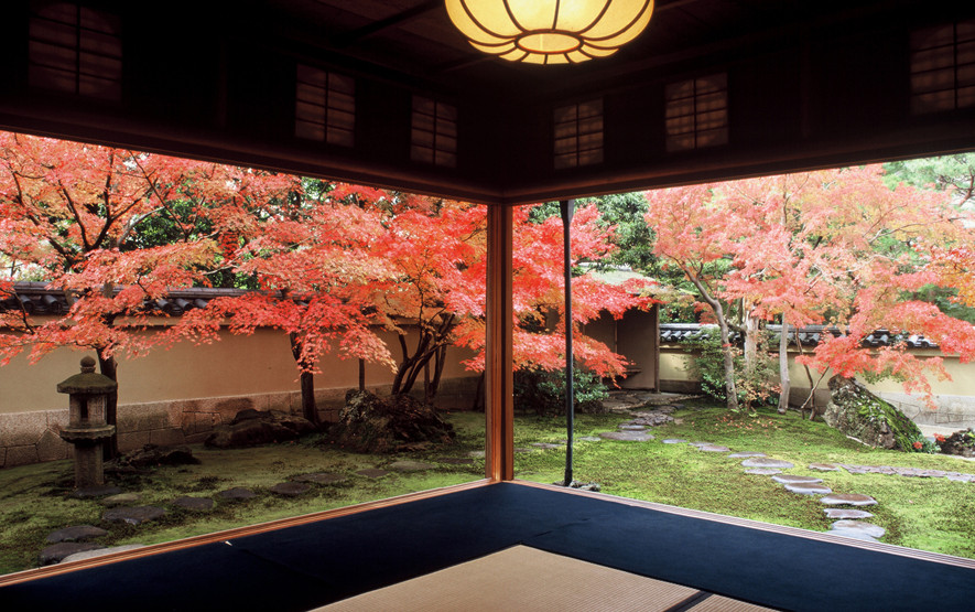 Một góc cửa sổ nên thơ tại Bảo tàng Nghệ thuật Adachi. Ảnh: Luxury travel