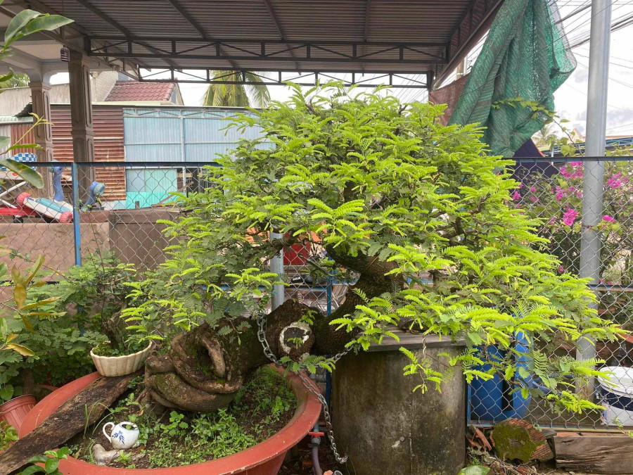 ... và thành phẩm. Ảnh: Phú Quý ... và thành phẩm. Ảnh: Phú Quý