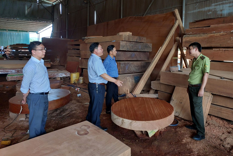 Gỗ có nguồn gốc xuất xứ từ nước ngoài. Ảnh: Nguyễn Diệp