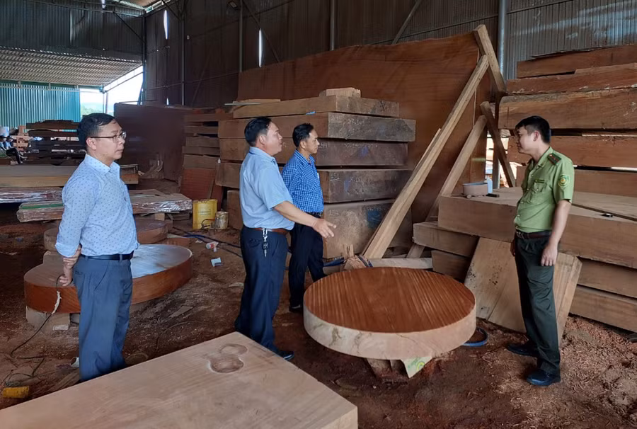 Gỗ có nguồn gốc xuất xứ từ nước ngoài. Ảnh: Nguyễn Diệp