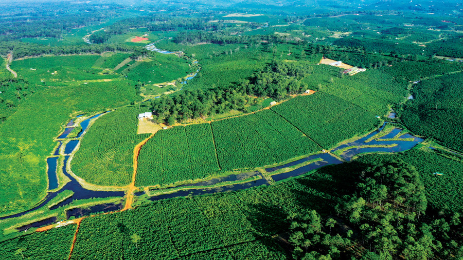 Nông trại rộng 111 ha là kết quả của lão nông Nguyễn Bình Đông sau hàng chục năm gầy dựng