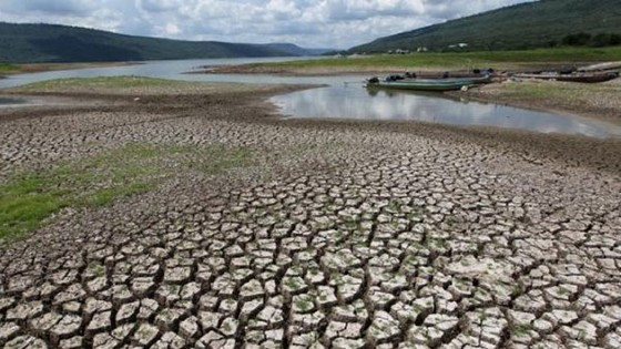 Ảnh minh họa Ảnh minh họa