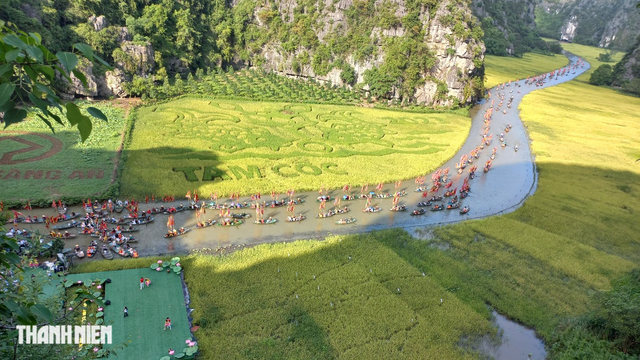 Khu du lịch Tam Cốc - Bích Động bất ngờ tạm dừng hoạt động - Ảnh 1. Khu du lịch Tam Cốc - Bích Động trong mùa lúa chín vàng vừa qua. Ảnh: MINH HẢI