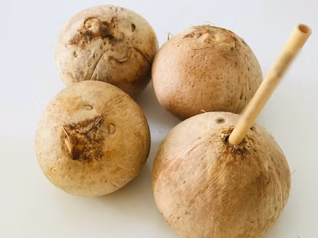 Uống nước dừa giúp bù nước hiệu quả. Ảnh:LÊ CẦM