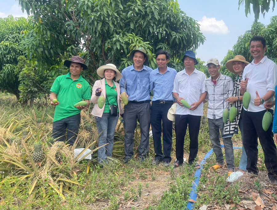 Người dân tham quan, học hỏi mô hình sản xuất nông nghiệp của gia đình anh Đỗ Văn Chuyên. Ảnh: Vũ Chi Người dân tham quan, học hỏi mô hình sản xuất nông nghiệp của gia đình anh Đỗ Văn Chuyên. Ảnh: Vũ Chi