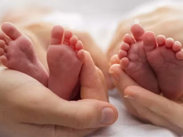 Mỹ: trường hợp cực kỳ hiếm khiến anh em họ có gien như anh em ruột - Ảnh 1. Những đứa trẻ sinh ra từ là 2 cặp anh chị em song sinh giống hệt nhau sẽ có đặc điểm di truyền giống anh em ruột hơn là anh em họ.ẢNH: SHUTTERSTOCK