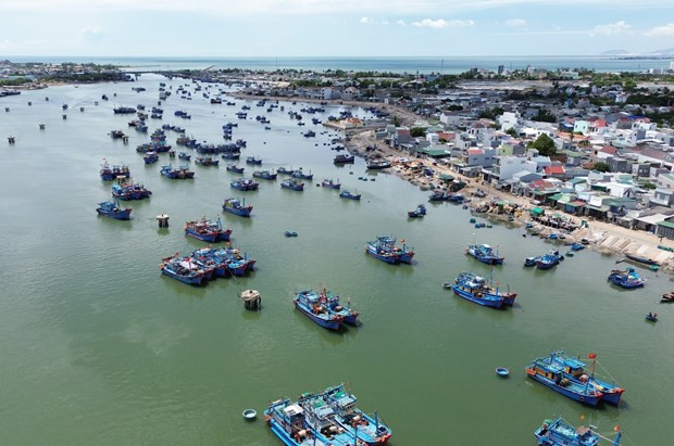 Tàu thuyền của ngư dân cập Đầm Nại để đưa hải sản lên chợ Nại bán buôn. (Ảnh: Nguyễn Thành/TTXVN) Tàu thuyền của ngư dân cập Đầm Nại để đưa hải sản lên chợ Nại bán buôn. (Ảnh: Nguyễn Thành/TTXVN)