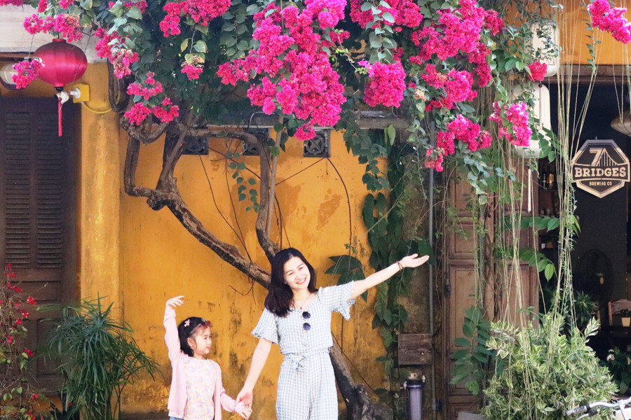 Check-in hoa giấy Hội An đẹp nhất thường được chụp vào lúc sáng sớm, khi ánh bình minh xuyên qua từng kẽ lá. Ảnh: Bảo Duy Check-in hoa giấy Hội An đẹp nhất thường được chụp vào lúc sáng sớm, khi ánh bình minh xuyên qua từng kẽ lá. Ảnh: Bảo Duy