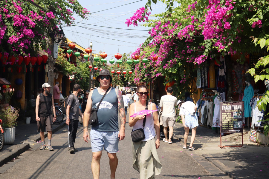 Hoa giấy khiến cả góc phố phủ rêu phong như sáng bừng lên nhờ vẻ đẹp dịu dàng, duyên dáng. Ảnh: Bảo Duy Hoa giấy khiến cả góc phố phủ rêu phong như sáng bừng lên nhờ vẻ đẹp dịu dàng, duyên dáng. Ảnh: Bảo Duy