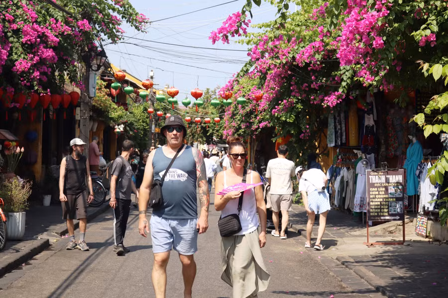 Hoa giấy khiến cả góc phố phủ rêu phong như sáng bừng lên nhờ vẻ đẹp dịu dàng, duyên dáng. Ảnh: Bảo Duy