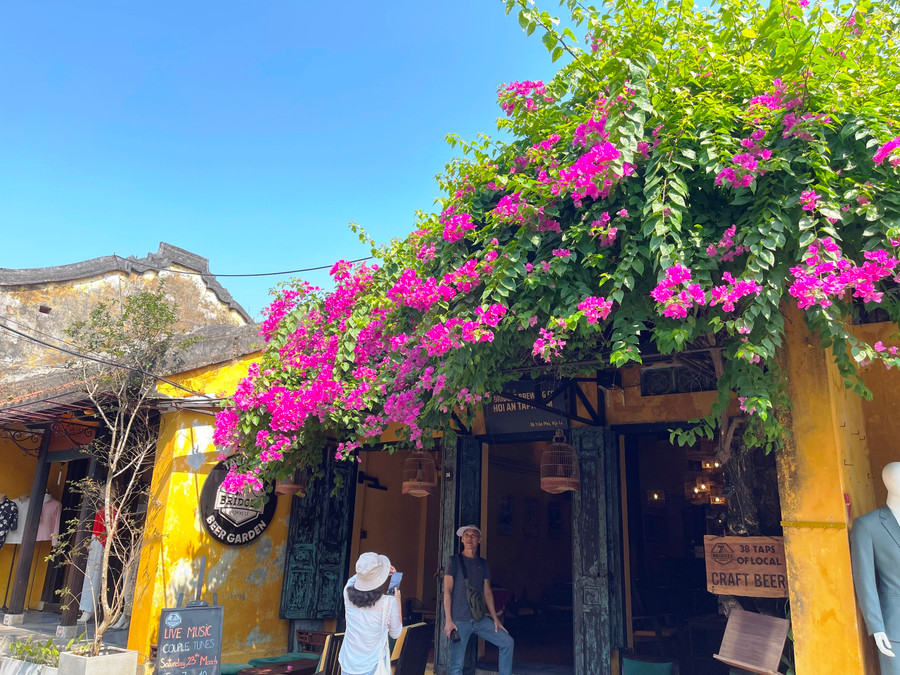 Hoa giấy nghiêng mình bên mái ngói rêu phong dường như đã trở thành nét đặc trưng của những ngày hè tại thành phố di sản. Ảnh: Bảo Duy Hoa giấy nghiêng mình bên mái ngói rêu phong dường như đã trở thành nét đặc trưng của những ngày hè tại thành phố di sản. Ảnh: Bảo Duy