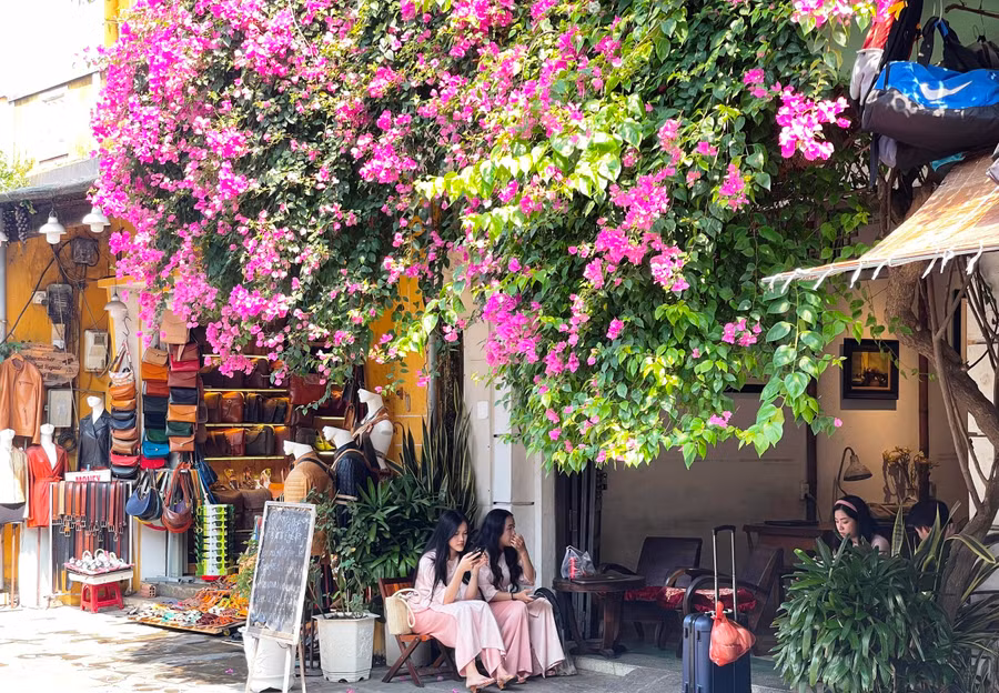 Hoa giấy nở rộ báo hiệu mùa hè đã đến. Ảnh: Bảo Duy