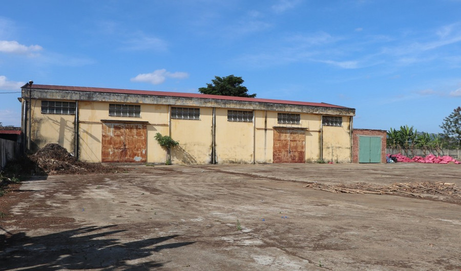 Lô đất rộng 1,2ha ở tổ dân phố 7 thị trấn Đăk Hà do Công ty trách nhiệm hữu hạn Càphê 704 quản lý bị bỏ hoang nhiều năm. (Ảnh: Cao Nguyên/TTXVN)