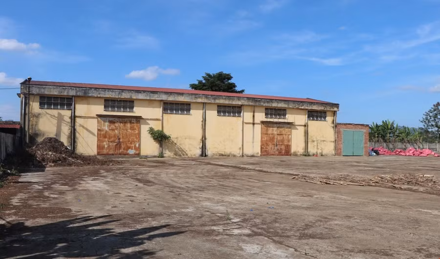 Lô đất rộng 1,2ha ở tổ dân phố 7 thị trấn Đăk Hà do Công ty trách nhiệm hữu hạn Càphê 704 quản lý bị bỏ hoang nhiều năm. (Ảnh: Cao Nguyên/TTXVN)