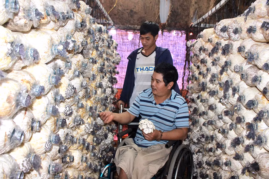 Anh Nguyễn Thanh Phê (hàng sau) chia sẻ mô hình trồng nấm với người cùng cảnh ngộ. Ảnh: Phan Lài