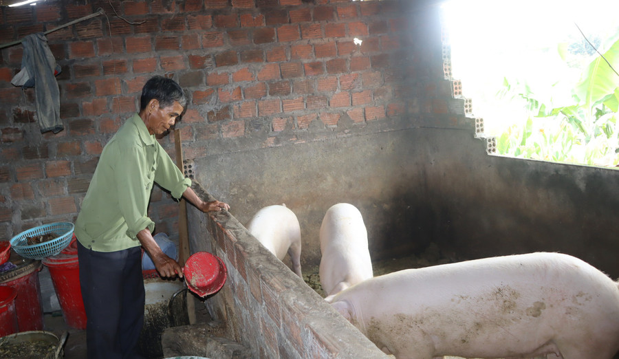 Là người có công với cách mạng nhưng ông A Cốp không ỷ lại sự hỗ trợ của Nhà nước mà tự lực làm kinh tế, chăm lo đời sống gia đình. Ảnh: CC