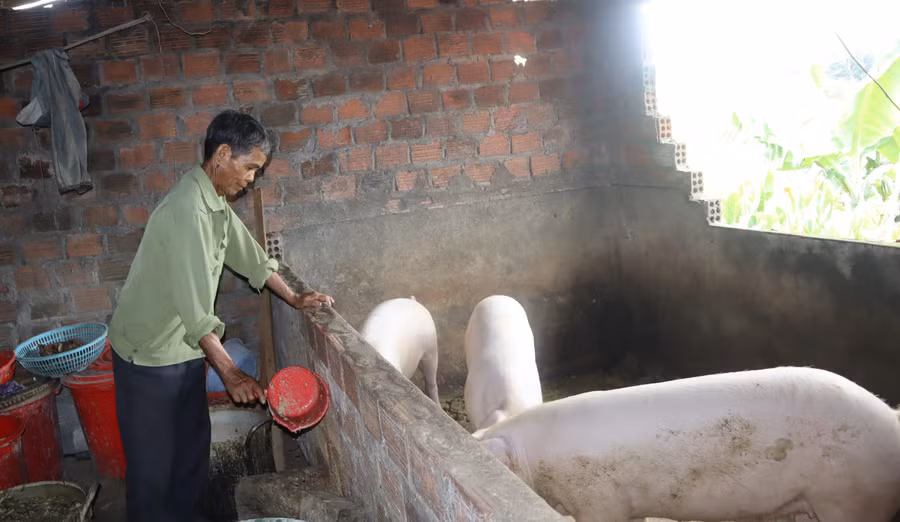 Là người có công với cách mạng nhưng ông A Cốp không ỷ lại sự hỗ trợ của Nhà nước mà tự lực làm kinh tế, chăm lo đời sống gia đình. Ảnh: CC