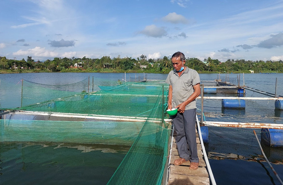 Ông Hoàng Ngọc Khương (thôn 6, xã Ia Nhin, huyện Chư Păh) nuôi cá lồng để phục vụ thị trường Tết. Ảnh: N.D Ông Hoàng Ngọc Khương (thôn 6, xã Ia Nhin, huyện Chư Păh) nuôi cá lồng để phục vụ thị trường Tết. Ảnh: N.D