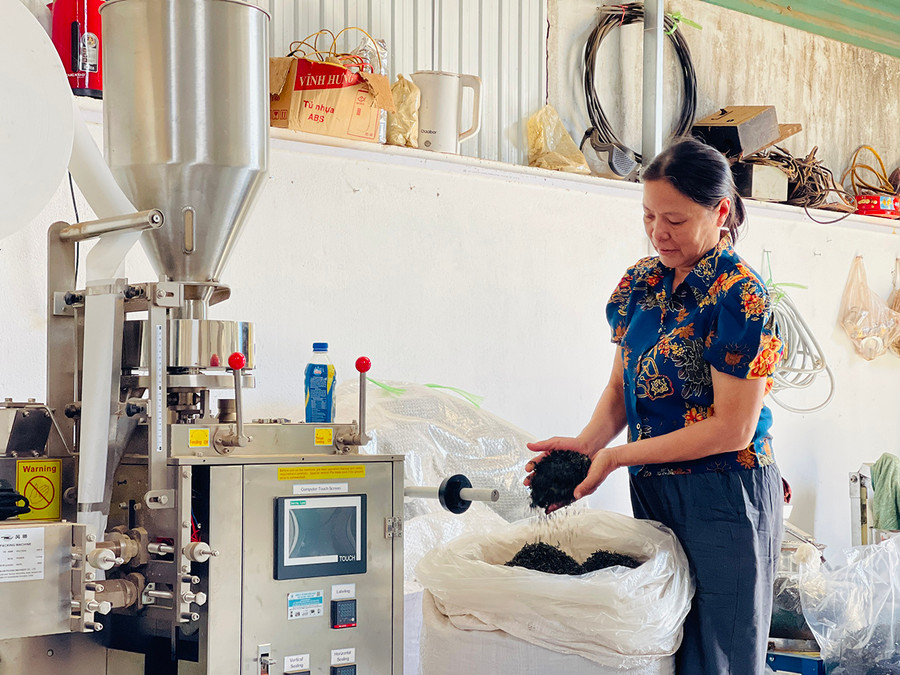 Bà Lý đầu tư mua sắm máy móc, xây dựng cơ sở sản xuất cho sự ra đời của thương hiệu chè sạch Cô Lý Farm. Ảnh: Trần Dung