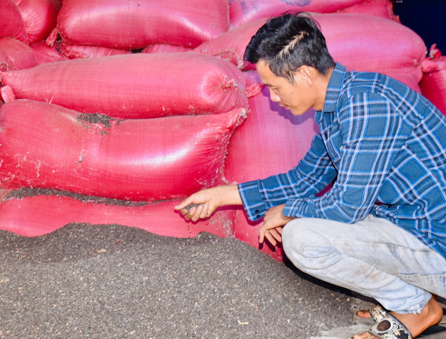 Hạt chanh dây được thu mua từ các cơ sở chế biến chanh dây trên địa bàn tỉnh. Ảnh: Mai Ka Hạt chanh dây được thu mua từ các cơ sở chế biến chanh dây trên địa bàn tỉnh. Ảnh: Mai Ka