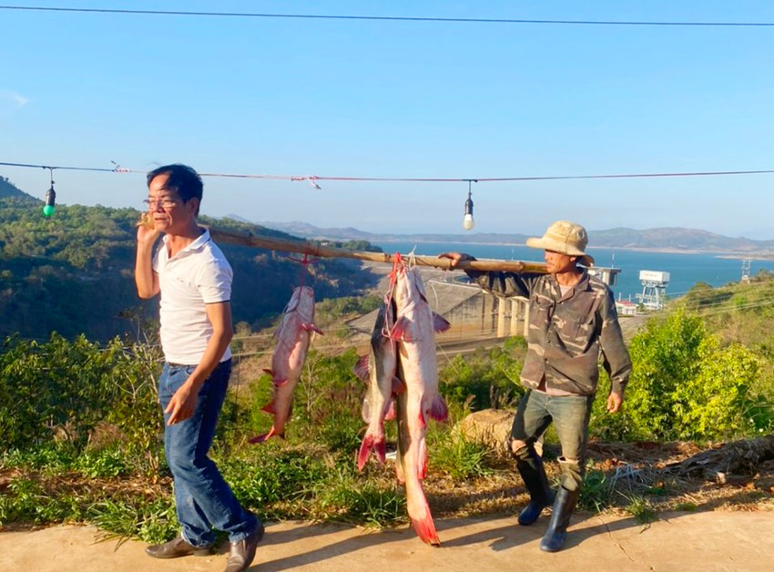 Con cá lăng khủng dài hơn 1,5 mét được câu trên sông Sê San. Ảnh: SP. Con cá lăng khủng dài hơn 1,5 mét được câu trên sông Sê San. Ảnh: SP.