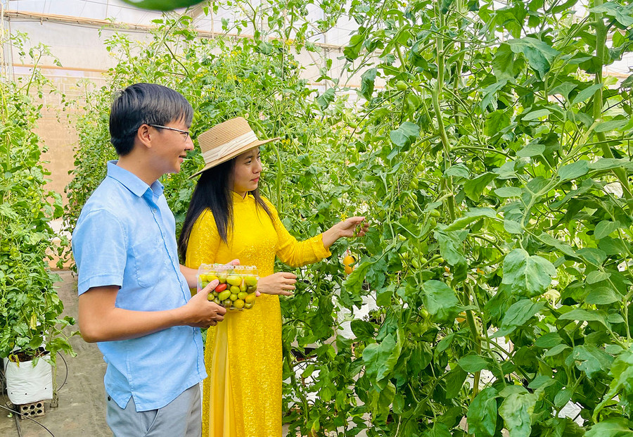 Khu thực nghiệm ứng dụng KH-CN là nơi triển khai và ứng dụng kết quả nghiên cứu vào thực tiễn. Ảnh: M.K Khu thực nghiệm ứng dụng KH-CN là nơi triển khai và ứng dụng kết quả nghiên cứu vào thực tiễn. Ảnh: M.K