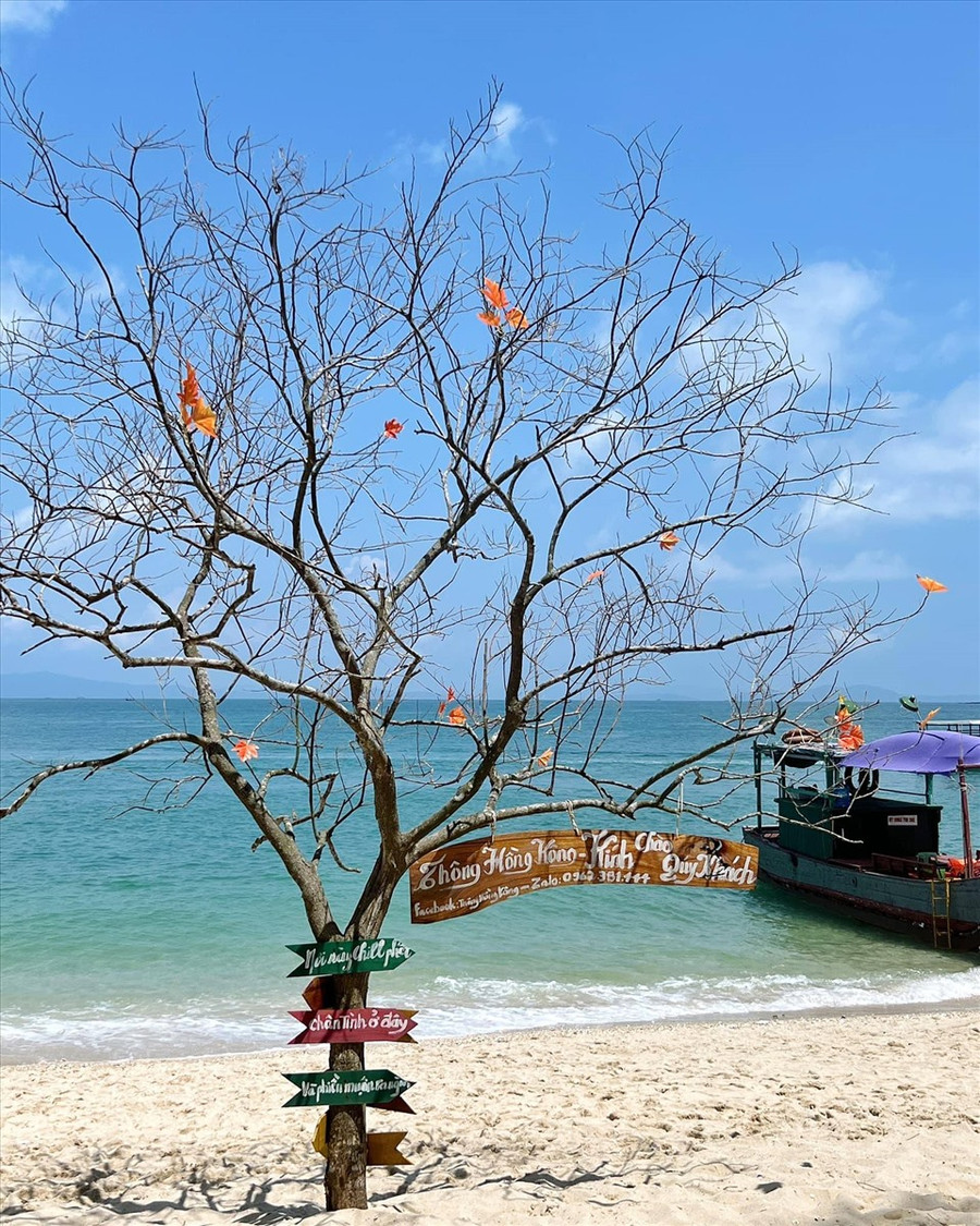 Cô Tô Con vẫn còn khá hoang sơ. Cô Tô Con vẫn còn khá hoang sơ.