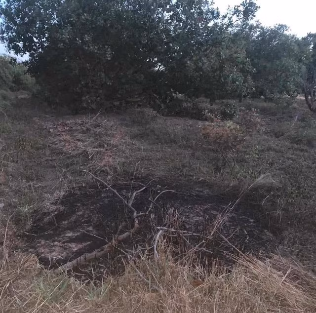 Hàng chục đám cháy xảy ra tại khu vực rẫy của 1 hộ dân