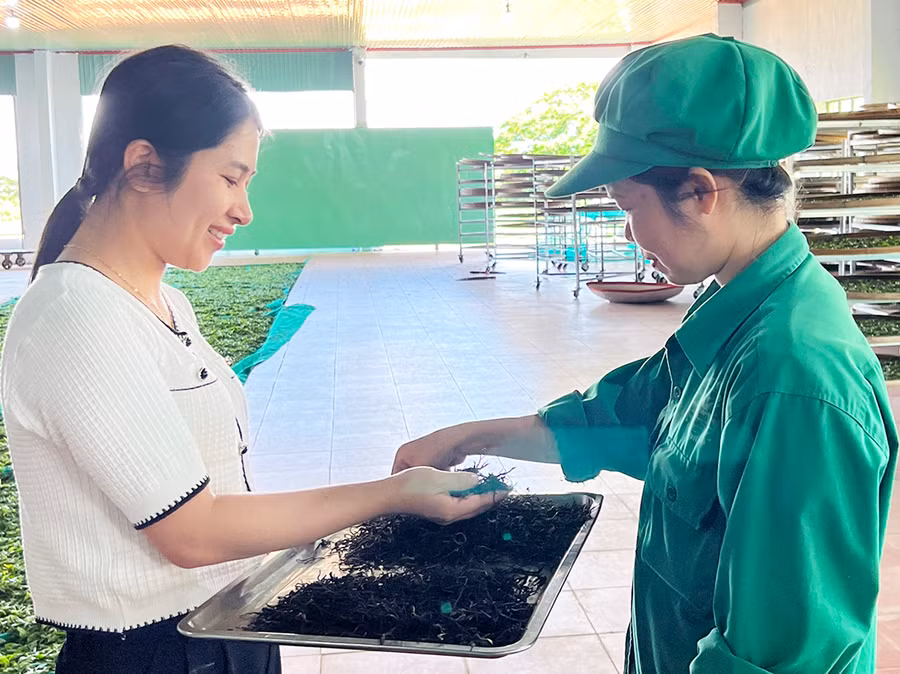 Chị Đào Thị Thanh (bìa trái)-Chủ tịch Công đoàn bộ phận Nhà máy chế biến của Công ty cổ phần Chè Biển Hồ trao đổi với công nhân trong giờ giải lao. Ảnh: Đ.Y