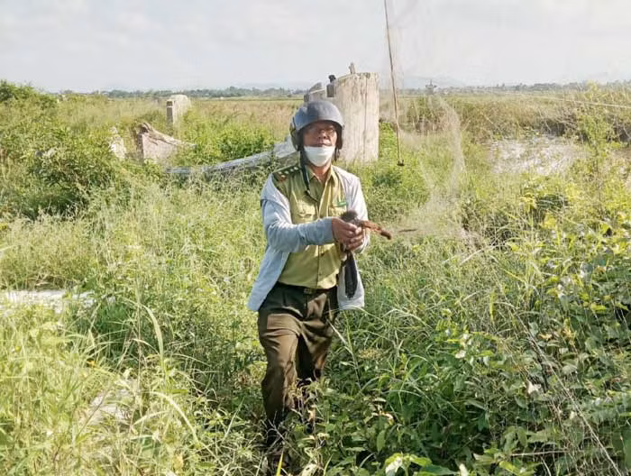 Lực lượng chức năng ra quân triệt phá tình trạng bẫy bắt chim trời.