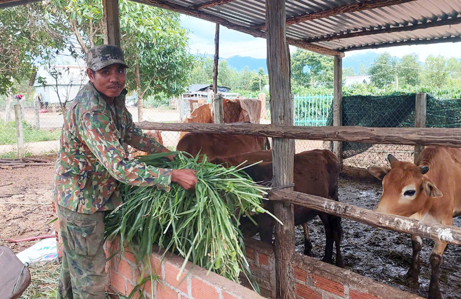 Ông Hlưng-Trưởng nhóm nuôi bò sinh sản làng Đăk Yă (xã Đăk Yă) chăm sóc bò được hỗ trợ. Ảnh: N.D Ông Hlưng-Trưởng nhóm nuôi bò sinh sản làng Đăk Yă (xã Đăk Yă) chăm sóc bò được hỗ trợ. Ảnh: N.D