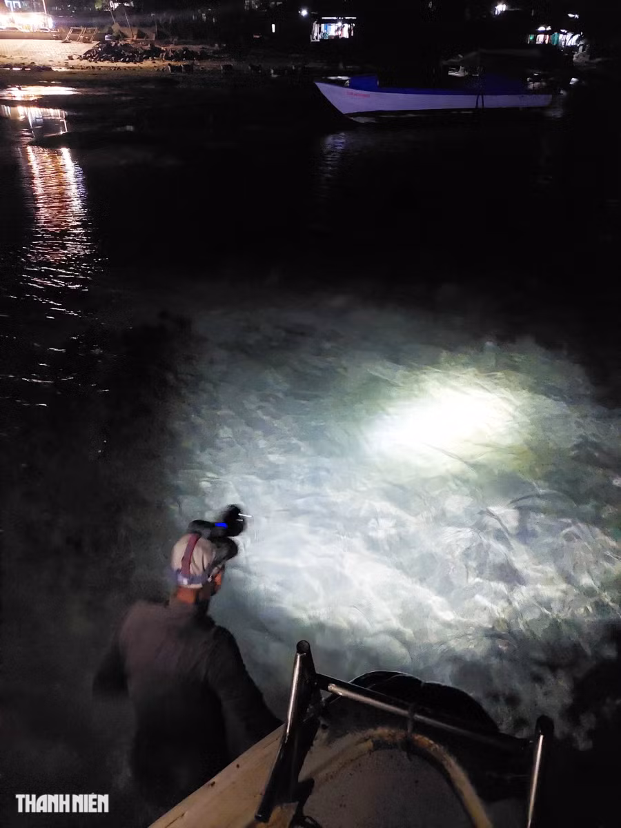 Dưới nước lúp xúp, ẩn hiện lớp cỏ biển uốn lượn. Tài công rọi đèn, hướng dẫn khách lách qua những tảng san hô lởm chởm dễ dàng xén đứt đế giày. Có người không quen lối, trượt chân ngã ướt sũng. Ảnh: TRÍ MINH