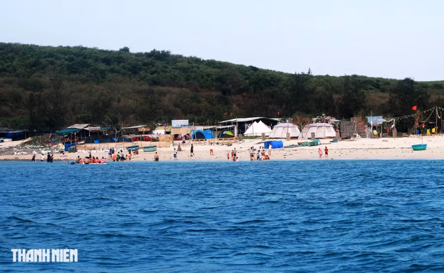 Vùng biển này có nhiều loại hải sản ngon như mực nang, tôm hùm, tôm tít, nhím biển (cầu gai), nhum, các loại ốc… Đặc biệt, nhím biển, nhum ở đây đậm thịt, ngọt thơm. Ảnh: TRÍ MINH