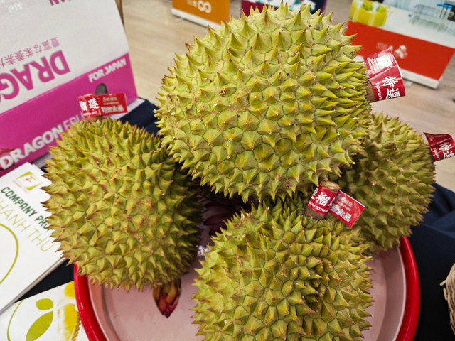 Sầu riêng tuyển chọn theo quy định thị trường Trung Quốc.