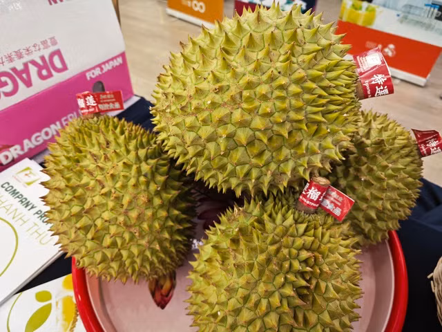 Sầu riêng tuyển chọn theo quy định thị trường Trung Quốc.